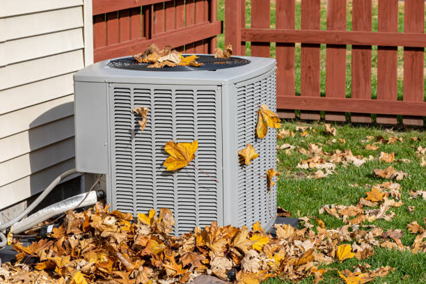Best HVAC tune-up services  in Sesser, IL